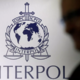Okoljski kriminal: Interpol rešil skoraj 30.000 živih živali