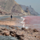 Rdeča plaža: edinstven naravni pojav v Iranu, ki jemlje dih
