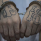 Član razvpite tolpe MS-13 obsojen na kar 1335 let zapora
