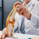 Imate visok krvni tlak? Nova študija razkriva presenetljivo povezavo z osteoartrozo