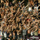 V morje potisnil Srba z majico Crvene zvezde: navijači Hajduka zbrali denar za kazen