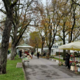 Na Žale za 1. november? Brezplačni avtobusi in parkirišča, na voljo tudi kavalirji