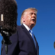 Trump ponuja milijon dolarjev za prijavo volilnih goljufij