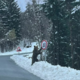 Fotografija, ki je nasmejala Hrvate: Kaj je medved počel ob prometnem znaku?