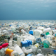 Plastika v morju živi – znanstveniki odkrili novo ekosistemsko plastisfero