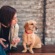 Govorite s psi kot z dojenčki? To je včasih ključno za preprečevanje ugrizov