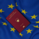 Katere države EU izdajo največ državljanstev in kam se uvršča Slovenija?
