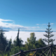 Zeleni raj je letos še bogatejši