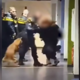 Šokanten posnetek z Nizozemske: policist nasilno podrl žensko, javnost zgrožena