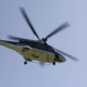 Nesreča v Žirovnici: Planinko po ugrizu modrasa s helikopterjem prepeljali v bolnišnico
