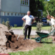 Iz divjega parkirišča nastaja urejeni park