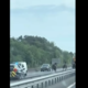 Dramatični posnetek: pobegli konji galopirali kar med avtomobili na avtocesti