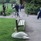 Ljubljana v maju: z videom prikazali živahni utrip zelenega mesta