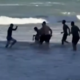 Srhljiva dogodka na plaži: morski pes odgriznil nogo najstnici in dečku