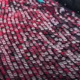 (VIDEO) Če vas živcirajo poletni zastoji na naših avtocestah, si poglejte tole …