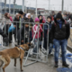 Evropski migracijski pakt že velja, slovenski zakon pa zamuja