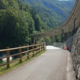 Kolesarsko povezavo Bled-Bohinj naj bi končali še ta mesec