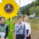 Sončnice bodo zacvetele tudi ob koroški železniški progi