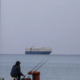 Ankaran in Koper na nasprotnih bregovih, v ozadju milijoni