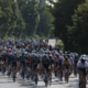 Vozniki, pozor! Zaradi Maratona Franja konec tedna številne zapore cest