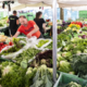 Hrana, ki jo nutricionisti priporočajo med vročinskim valom: tudi topli napitki nas lahko ohladijo