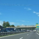 Zaradi živali oviran promet na dolenjski avtocesti