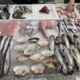 Slovenci pojemo več rib kot pred desetletjem, a še vedno pod povprečjem EU