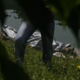 Ne le gramoznice in reke, nevaren tudi domači bazen, sploh za otroke