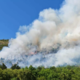 Požara v Brestovici pri Komnu in nad Brnetiči