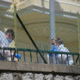 Posnetki razkrili, kaj je bombaš iz Monaka počel pred napadom. Prebivalci: V šoku smo