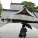 Več ur po potresu na Japonskem: najmanj 13 mrtvih, reševalci iščejo pogrešane