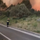 (VIDEO) Korčula v plamenih: zaprta cesta, na na terenu vse enote