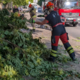 (FOTO) Na Poljanski cesti v Ljubljani na glavno cesto nenadoma padla ogromna veja