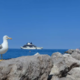 Milijonarji prihajajo, Piran pa jim ponuja premalo
