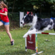 (VIDEO) Nuša in njen zavetiški pes Flash med najboljšimi mladimi agility pari