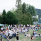 Bled bo štiri dni živel s filmom pod zvezdami