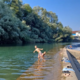 Po vnovičnem vzorčenju Sore zelena luč kopalcem