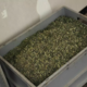 Za 12 kilogramov zasežene marihuane pravi, da so bile samo smeti