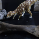 Razkrite fosilne skrivnosti Slovenije: ko so se pri nas sprehajali mamuti in dinozavri
