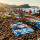 (VIDEO) Borba za plažo: "brisačarji" v Črni gori napadejo že ponoči