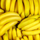 Banana, kot jo poznamo, bi lahko v naslednjih 20 letih izginila s polic