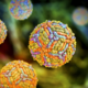V soseščini že 5 primerov: virus Zahodnega Nila pred vrati, imamo vse pogoje za izbruh