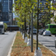 Dve cisterni ves čas na poti: kako Ljubljana rešuje mlada drevesa pred sušo?