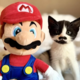 Mali Super Mario išče svoj za vedno dom