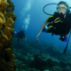 Nenavaden pojav v Tihem oceanu: mlada voda se stara, stara pa postaja mlajša