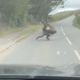 (VIDEO) »Emu dol!« A emu je imel drugačne načrte