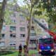 Na Topniški ulici na blok padlo drevo