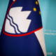 Je upravljanje Centralnega registra prebivalstva učinkovito? Znane so ugotovitve revizije
