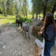 Sinonim za napredno slovensko turistično ponudbo