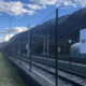 V trčenju vlaka in avta brez poškodovanih